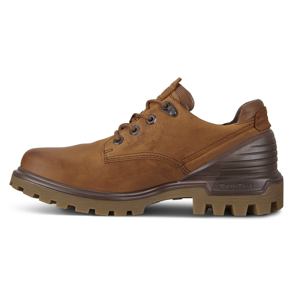 ECCO Mens Hiking Shoes Brown - Tredtray - HVI-185723